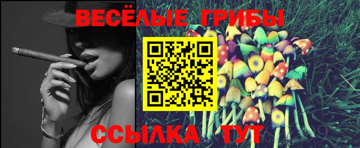 Галлюциногенные грибы Cubensis Пыть-Ях